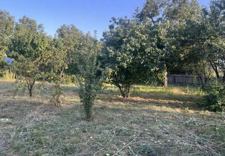 10 sot Torpaq Satılır, İsmayıllı
