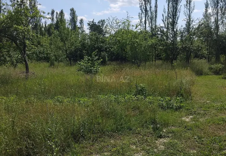 30 sot Torpaq Satılır, Qəbələ
