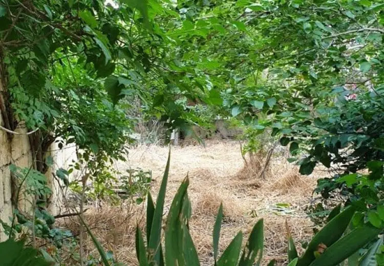 6 sot Torpaq Satılır, Badamdar qəs., Səbail, Bakı