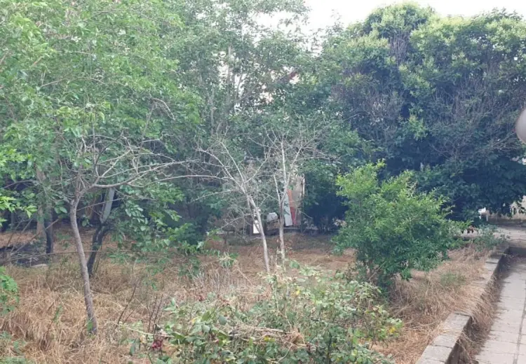 6 sot Torpaq Satılır, Badamdar qəs., Səbail, Bakı