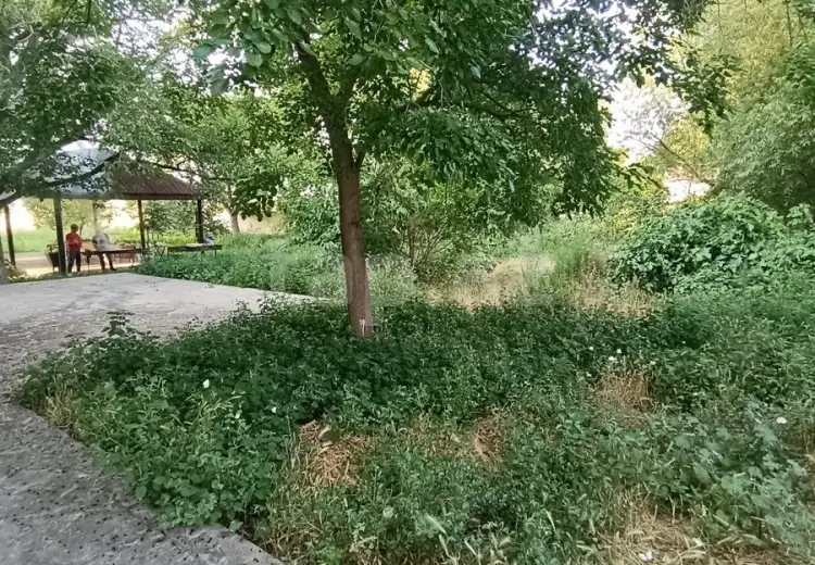 0 m² Obyekt / Ofis , Gəncə