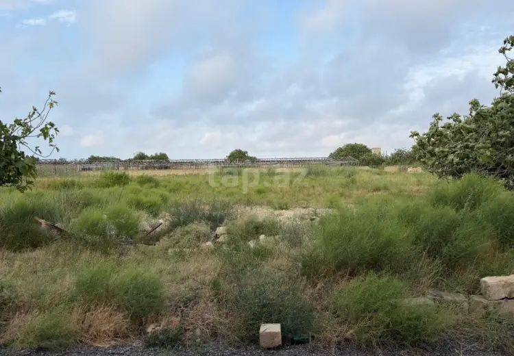 0 m² Obyekt / Ofis , Nardaran qəs., Sabunçu, Bakı