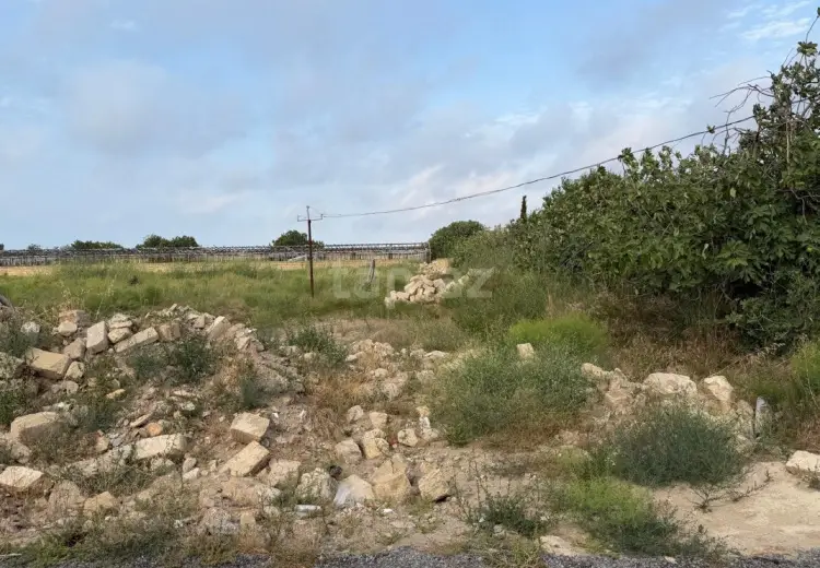 0 m² Obyekt / Ofis , Nardaran qəs., Sabunçu, Bakı