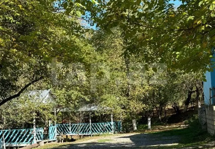 0 m² Obyekt / Ofis , Quba