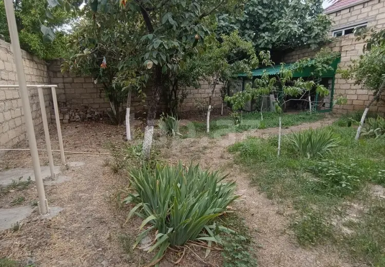 3 otaqlı mənzil , Gəncə