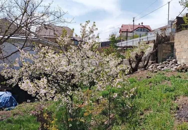 0 m² Obyekt / Ofis , Qusar