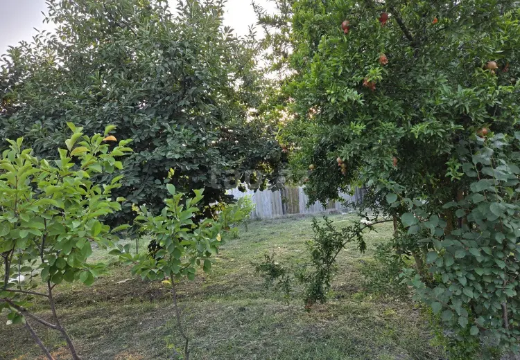3 otaqlı mənzil , Şirvan