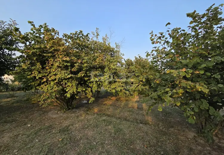 3 otaqlı mənzil , Şirvan