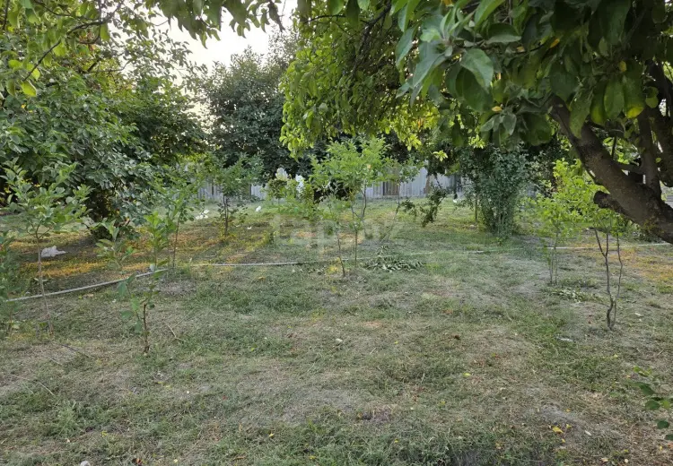 3 otaqlı mənzil , Şirvan