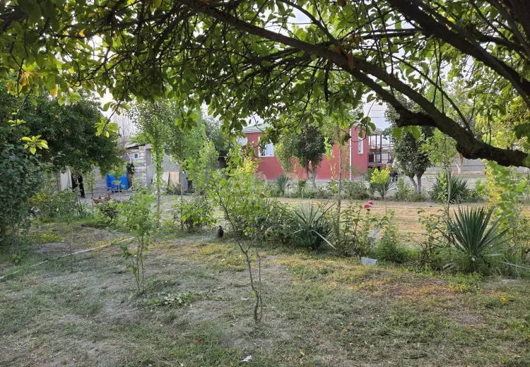 3 otaqlı mənzil , Şirvan