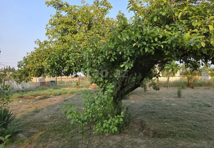 3 otaqlı mənzil , Şirvan