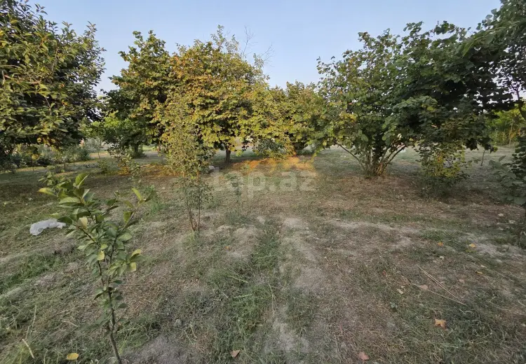 3 otaqlı mənzil , Şirvan