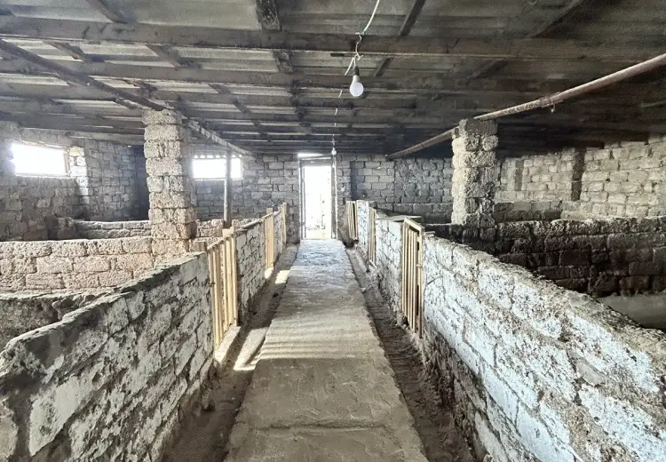 25 sot Torpaq Satılır, Türkan, Xəzər, Bakı