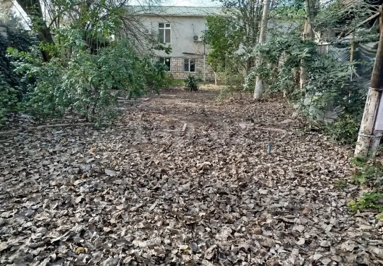 0 m² Obyekt / Ofis , Xaçmaz