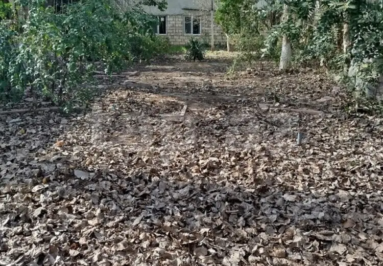 0 m² Obyekt / Ofis , Xaçmaz