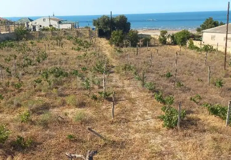 27 sot Torpaq Satılır, Novxanı, Abşeron