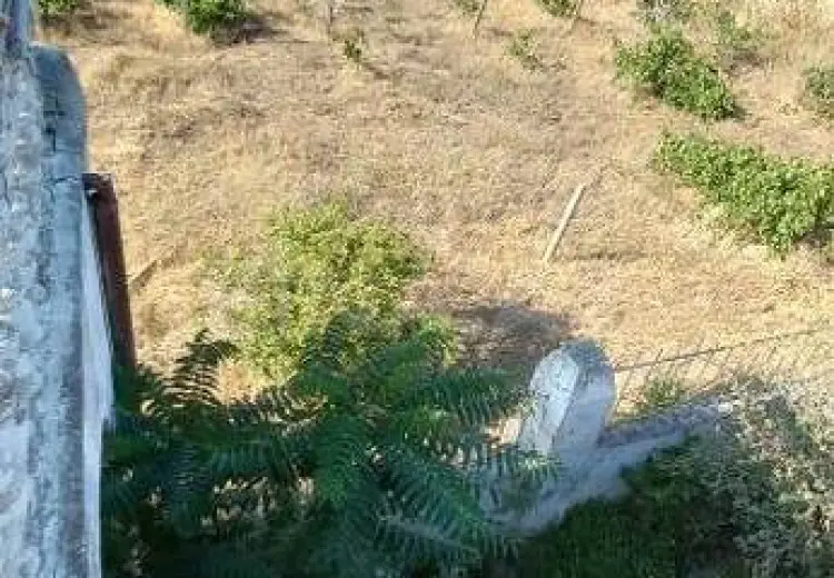 27 sot Torpaq Satılır, Novxanı, Abşeron