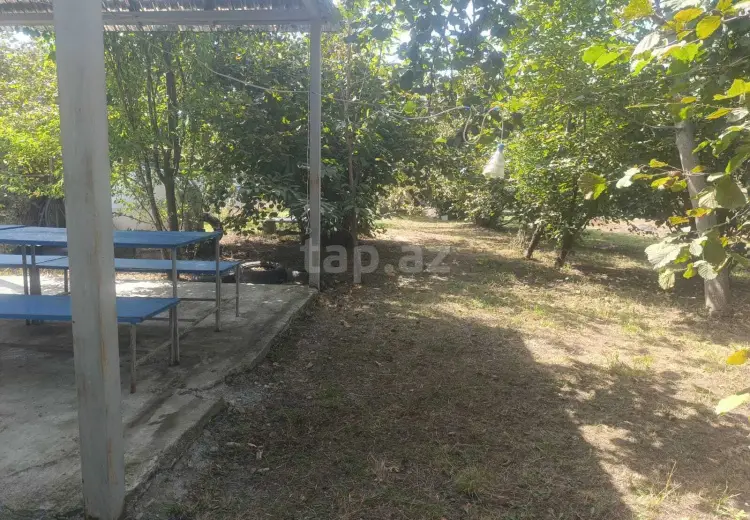 0 m² Obyekt / Ofis , Qəbələ