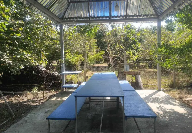0 m² Obyekt / Ofis , Qəbələ