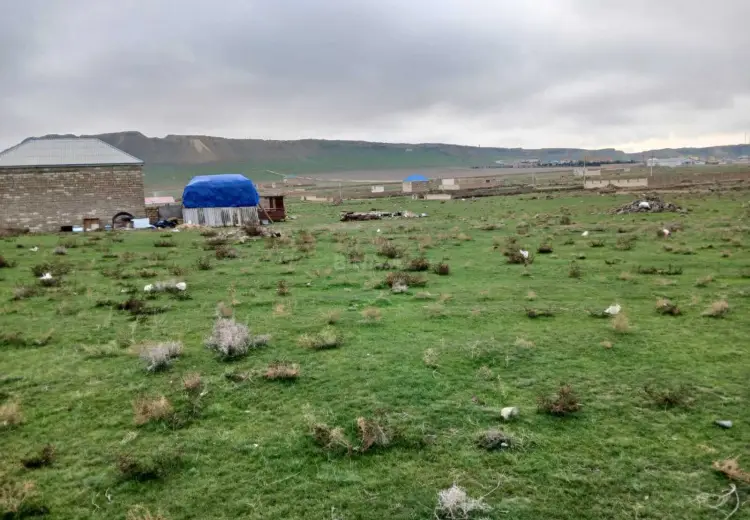 8 sot Torpaq Satılır, Qobu, Abşeron