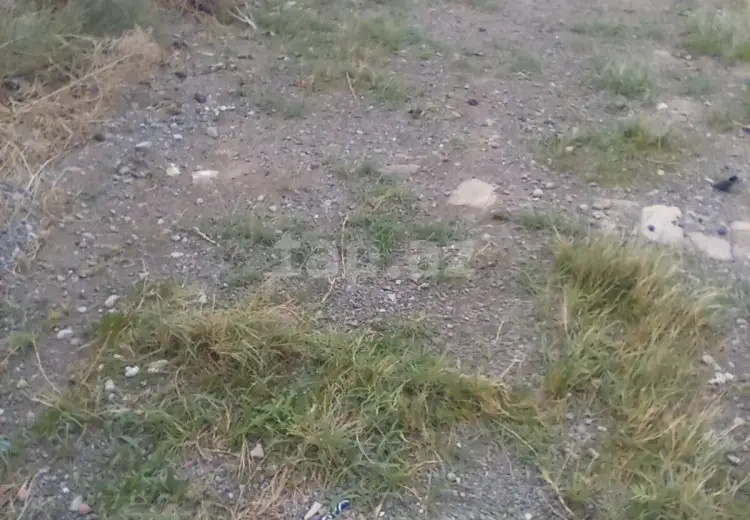 0 m² Obyekt / Ofis , Xırdalan