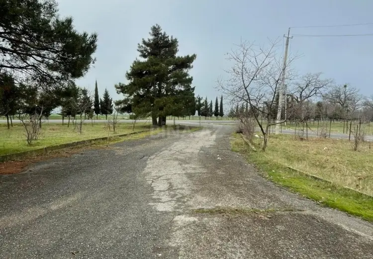 3000 m² Obyekt / Ofis Satılır, Oğuz