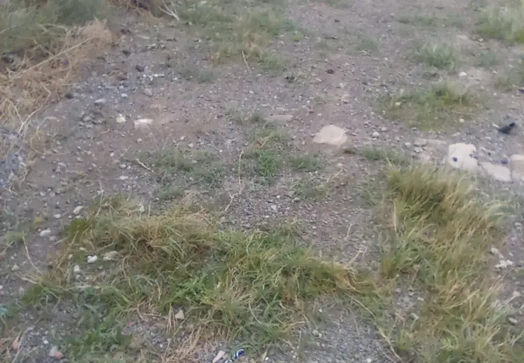 2 sot Torpaq Satılır, Abşeron