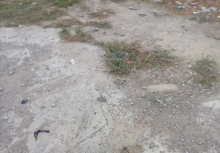 2 sot Torpaq Satılır, Abşeron