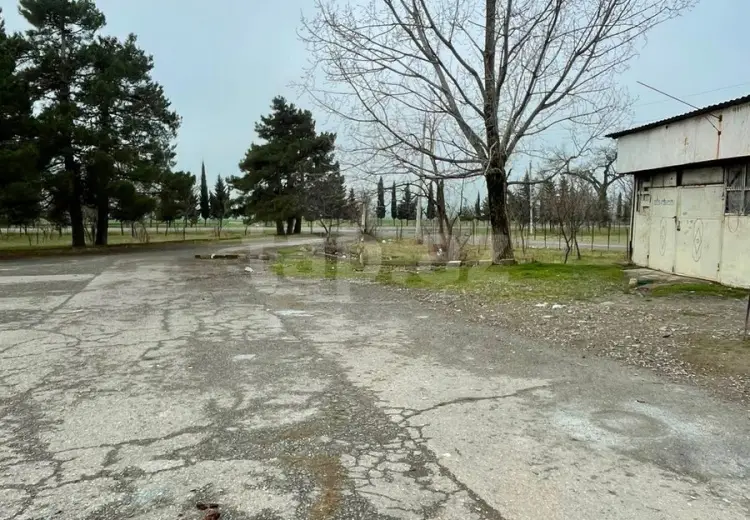 0 m² Obyekt / Ofis , Oğuz