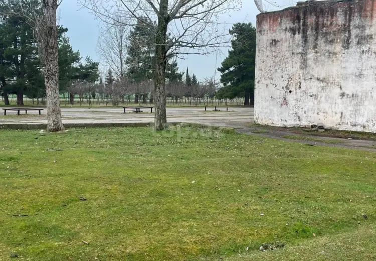 0 m² Obyekt / Ofis , Oğuz