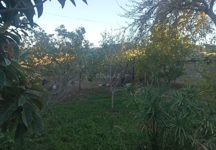4 sot Torpaq Satılır, Qala, Xəzər, Bakı