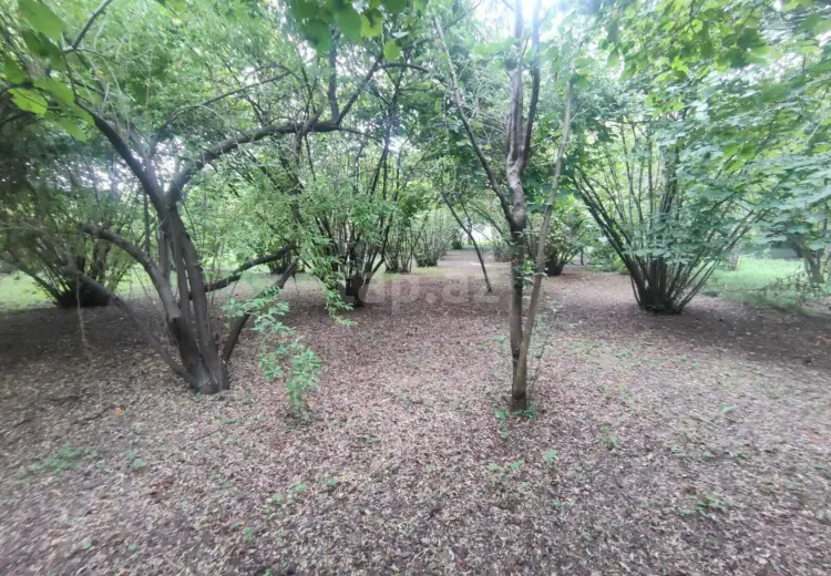 5 otaqlı mənzil , Zaqatala