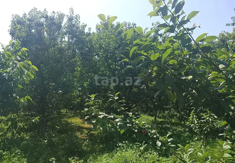 0 m² Obyekt / Ofis , Quba