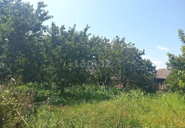 0 m² Obyekt / Ofis , Quba