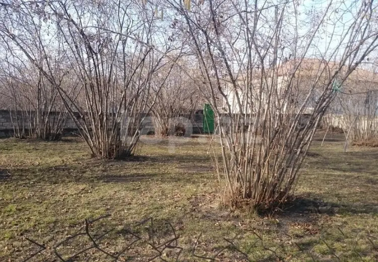 0 m² Obyekt / Ofis , Zaqatala