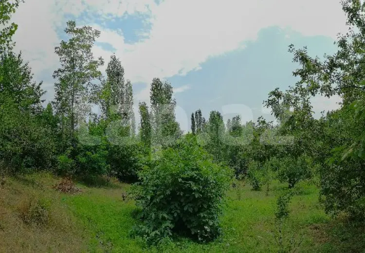 0 m² Obyekt / Ofis , Qusar