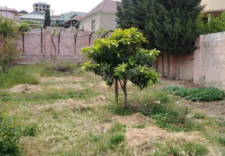 3 sot Torpaq Satılır, Xocəsən qəs., Binəqədi, Bakı
