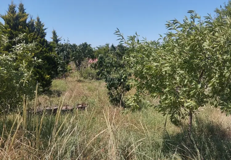 9 sot Torpaq Satılır, Bilgəh qəs., Sabunçu, Bakı