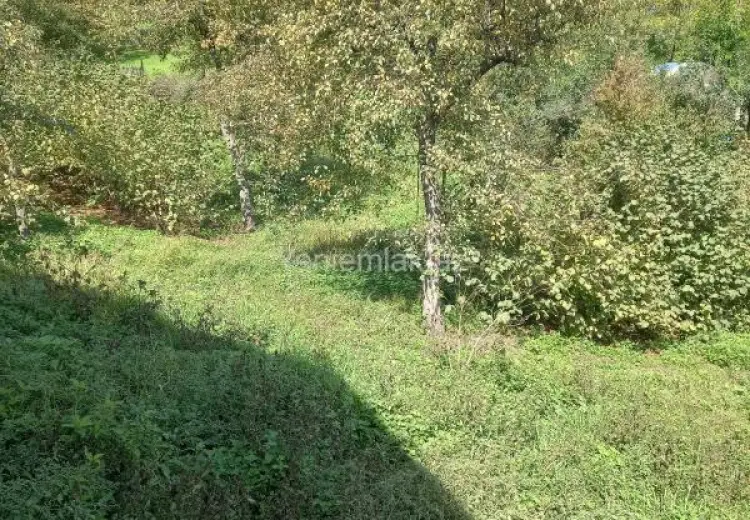 5 sot Torpaq Satılır, Quba