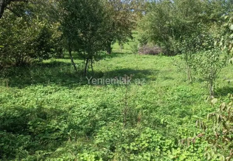 5 sot Torpaq Satılır, Quba