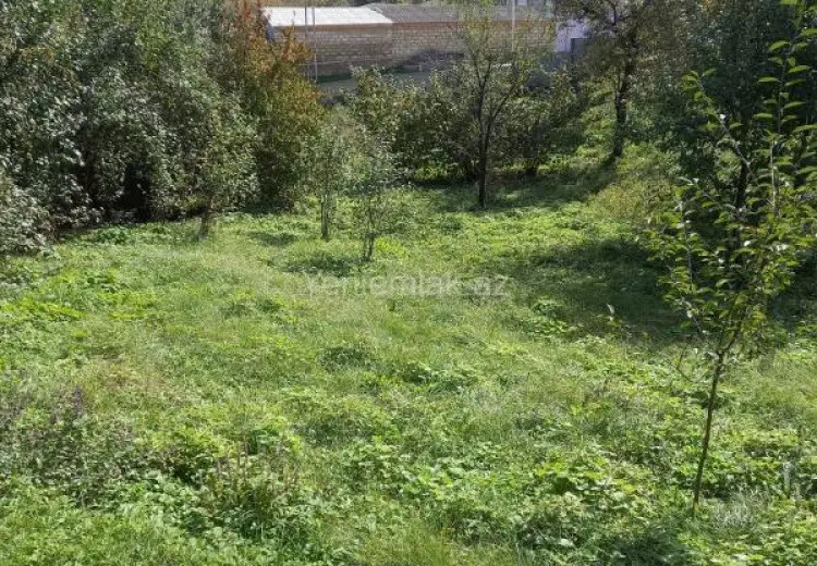 5 sot Torpaq Satılır, Quba