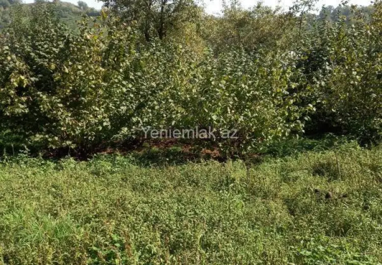 5 sot Torpaq Satılır, Quba