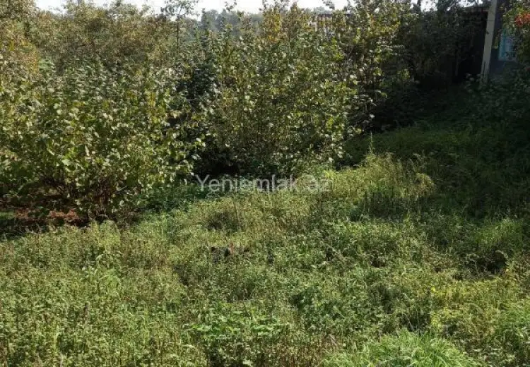 5 sot Torpaq Satılır, Quba