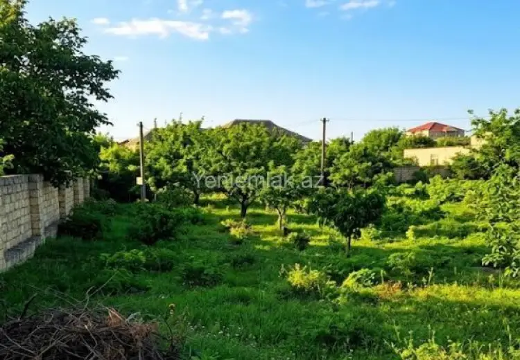 9 sot Torpaq Satılır, Novxanı, Abşeron