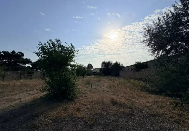 24 sot Torpaq Satılır, Buzovna, Xəzər, Bakı