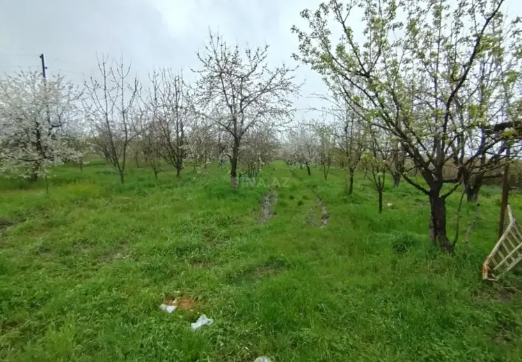 50 sot Torpaq Satılır, Quba