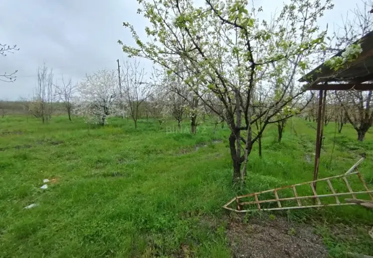 50 sot Torpaq Satılır, Quba