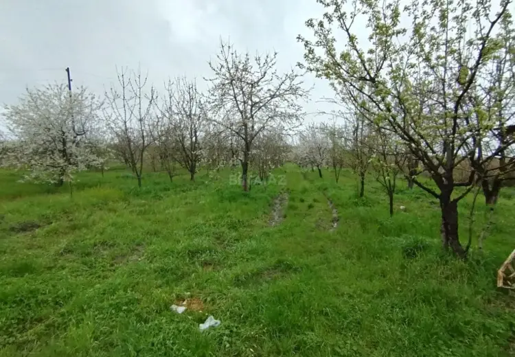 50 sot Torpaq Satılır, Quba
