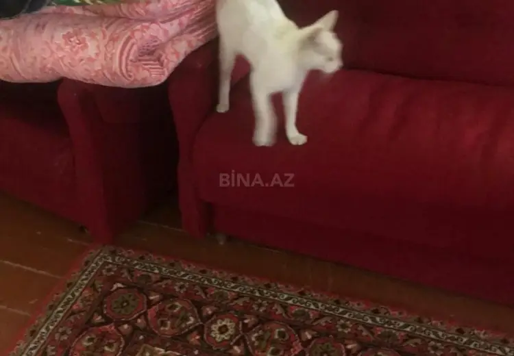 26 sot Torpaq Satılır, Goradil, Abşeron