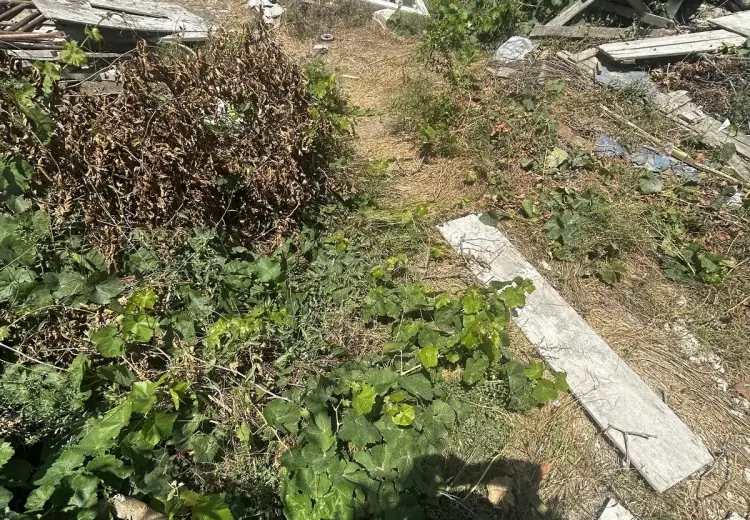 3 sot Torpaq Satılır, Badamdar qəs., Səbail, Bakı